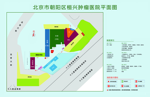 想看大鸡吧操逼视频北京市朝阳区桓兴肿瘤医院平面图